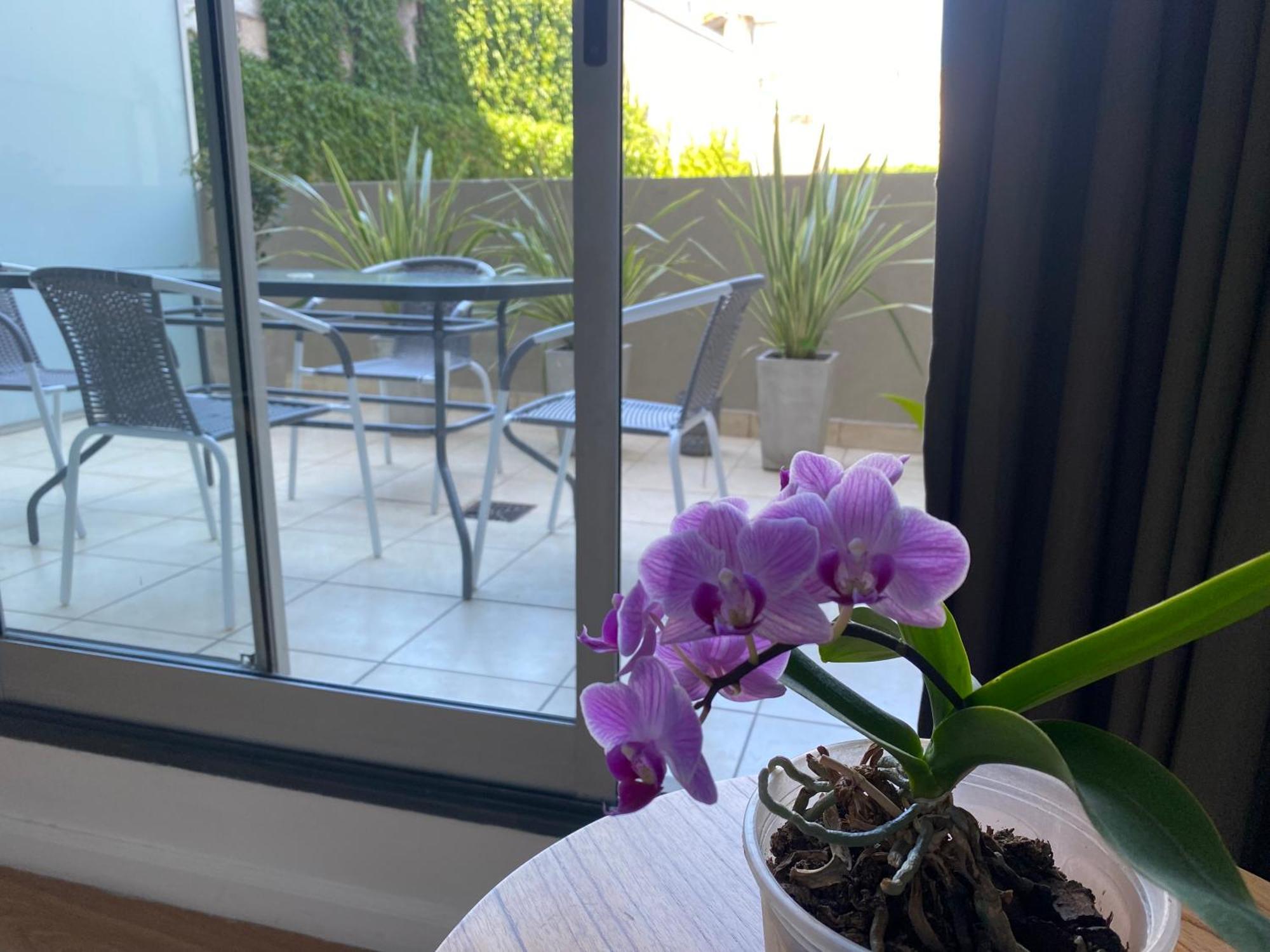 Apartment Palermo Hollywood Ba